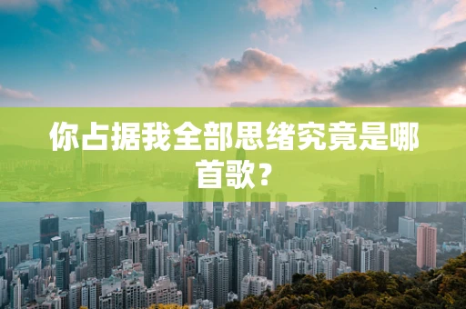 你占据我全部思绪究竟是哪首歌？