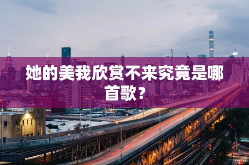 她的美我欣赏不来究竟是哪首歌？