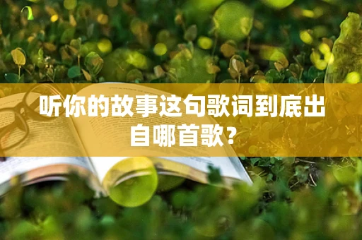 听你的故事这句歌词到底出自哪首歌？