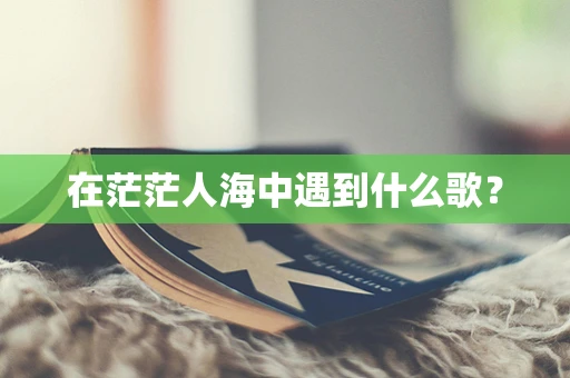 在茫茫人海中遇到什么歌？