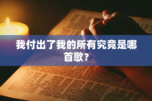 我付出了我的所有究竟是哪首歌？