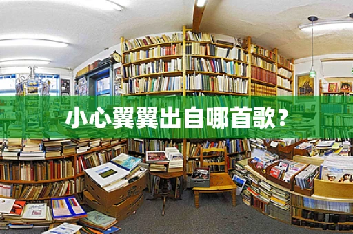 小心翼翼出自哪首歌？