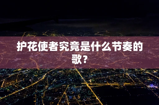 护花使者究竟是什么节奏的歌？
