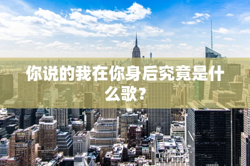 你说的我在你身后究竟是什么歌？
