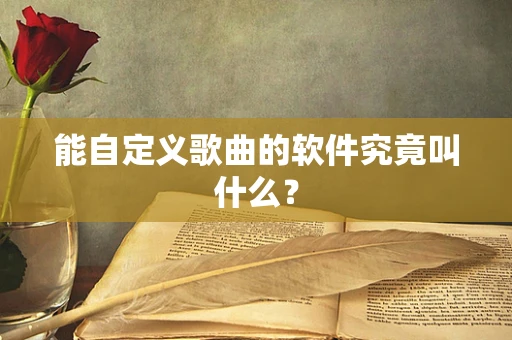 能自定义歌曲的软件究竟叫什么？