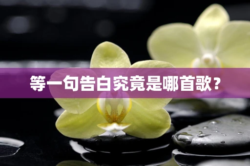 等一句告白究竟是哪首歌？