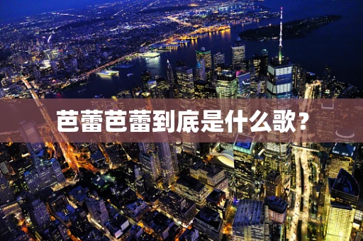 芭蕾芭蕾到底是什么歌？