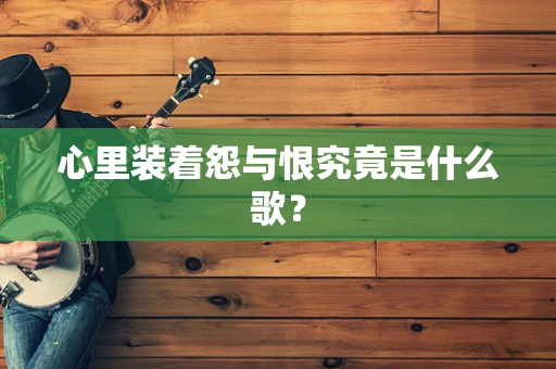 心里装着怨与恨究竟是什么歌？