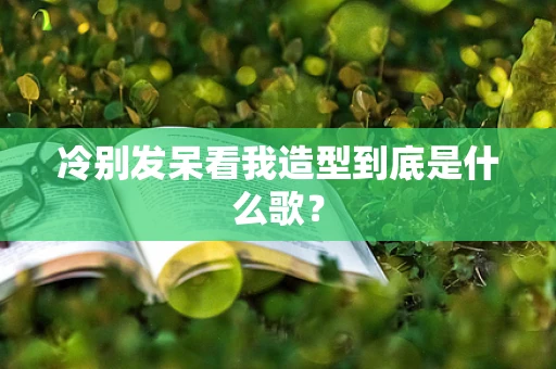 冷别发呆看我造型到底是什么歌？