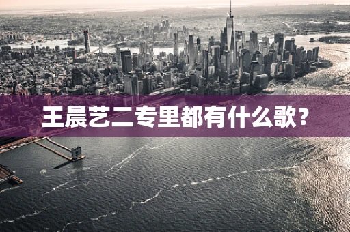 王晨艺二专里都有什么歌？
