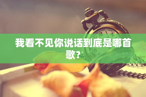 我看不见你说话到底是哪首歌？