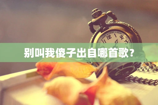 别叫我傻子出自哪首歌？