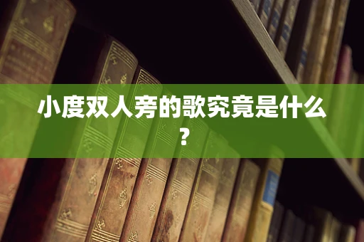 小度双人旁的歌究竟是什么？