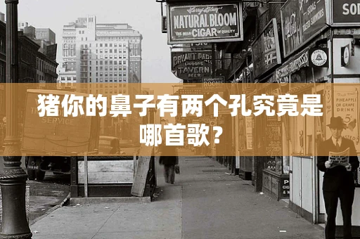 猪你的鼻子有两个孔究竟是哪首歌？