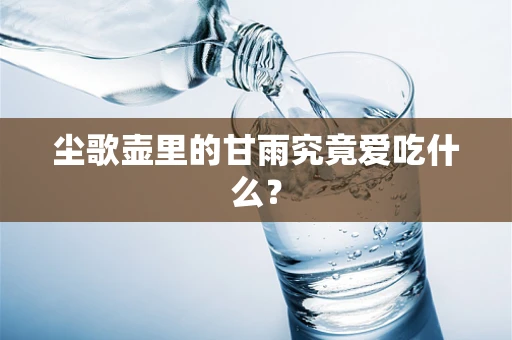 尘歌壶里的甘雨究竟爱吃什么？