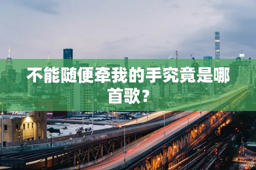 不能随便牵我的手究竟是哪首歌？