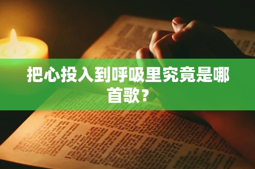 把心投入到呼吸里究竟是哪首歌？