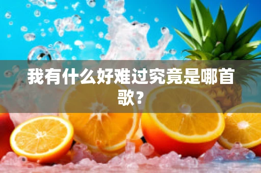 我有什么好难过究竟是哪首歌？