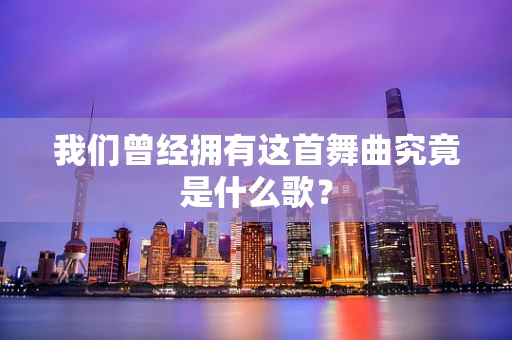 我们曾经拥有这首舞曲究竟是什么歌？