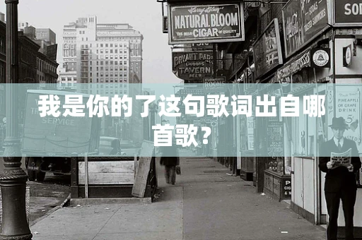我是你的了这句歌词出自哪首歌？