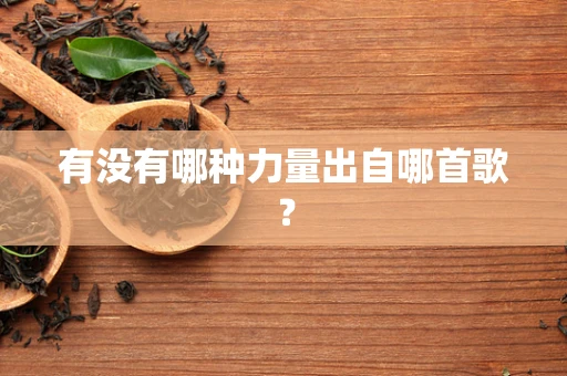 有没有哪种力量出自哪首歌？