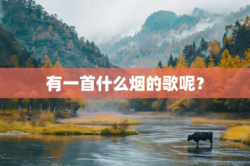 有一首什么烟的歌呢？