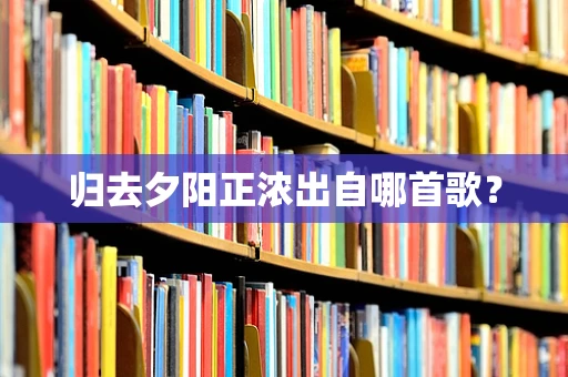 归去夕阳正浓出自哪首歌？