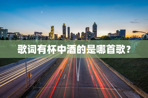 歌词有杯中酒的是哪首歌？