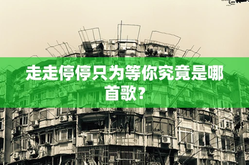 走走停停只为等你究竟是哪首歌？