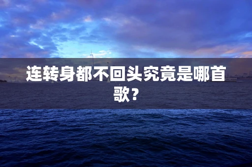 连转身都不回头究竟是哪首歌？