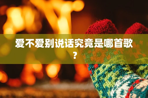 爱不爱别说话究竟是哪首歌？