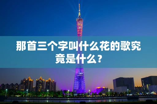 那首三个字叫什么花的歌究竟是什么？