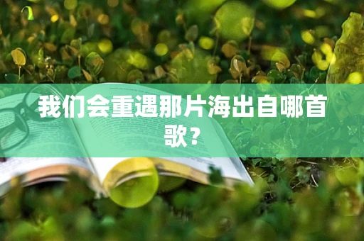 我们会重遇那片海出自哪首歌？