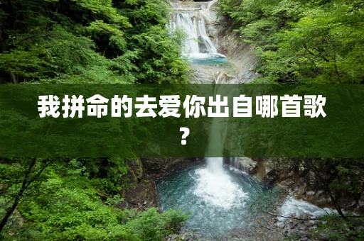 我拼命的去爱你出自哪首歌？