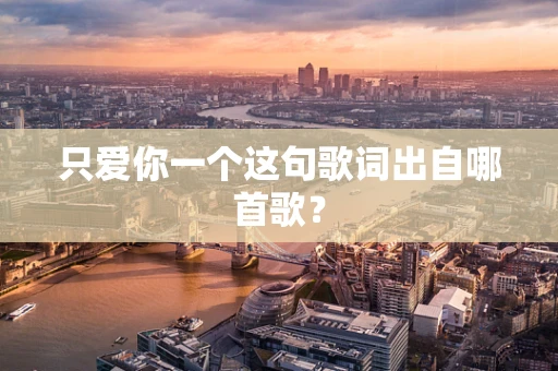 只爱你一个这句歌词出自哪首歌？