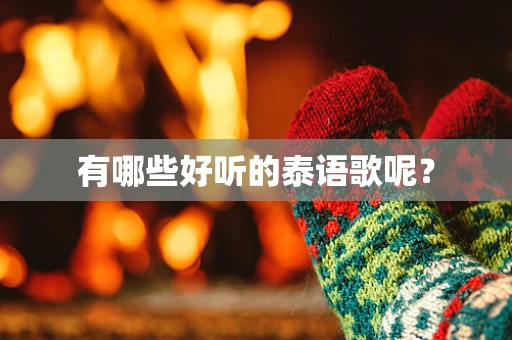 有哪些好听的泰语歌呢？