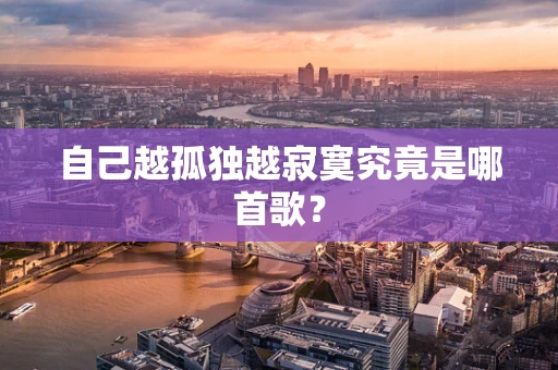 自己越孤独越寂寞究竟是哪首歌？