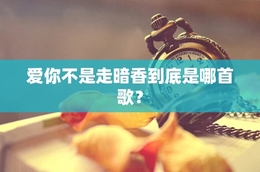 爱你不是走暗香到底是哪首歌？
