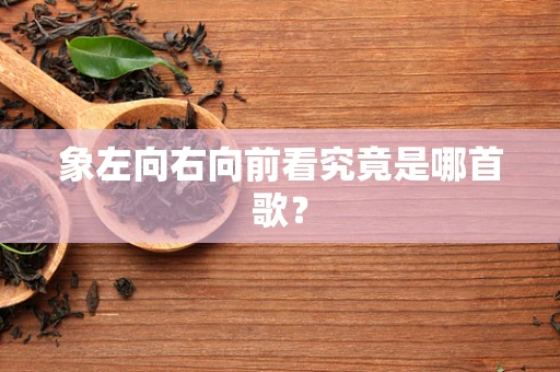 象左向右向前看究竟是哪首歌？