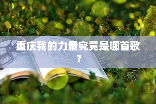 重庆我的力量究竟是哪首歌？