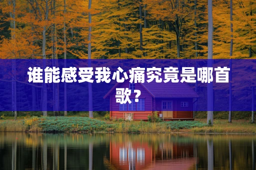 谁能感受我心痛究竟是哪首歌？