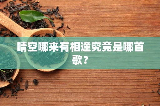 晴空哪来有相逢究竟是哪首歌？