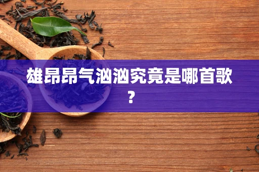 雄昂昂气汹汹究竟是哪首歌？
