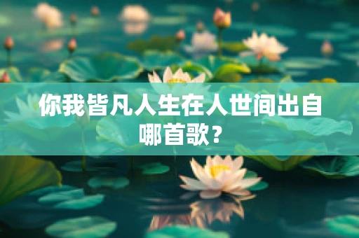 你我皆凡人生在人世间出自哪首歌？
