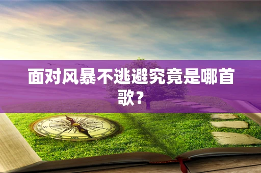 面对风暴不逃避究竟是哪首歌？