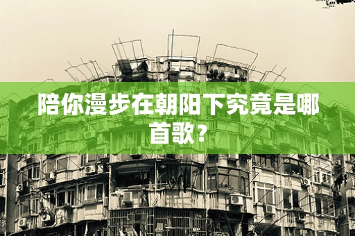 陪你漫步在朝阳下究竟是哪首歌？