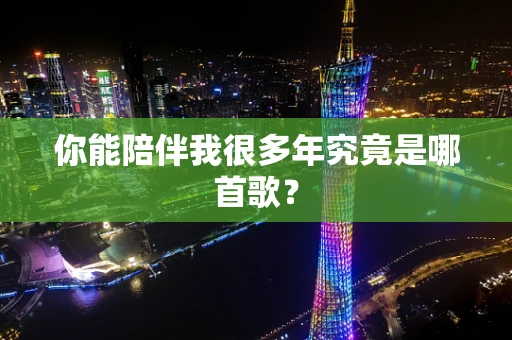 你能陪伴我很多年究竟是哪首歌？