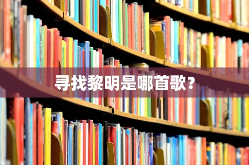 寻找黎明是哪首歌？
