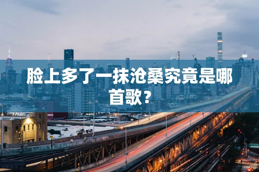 脸上多了一抹沧桑究竟是哪首歌？