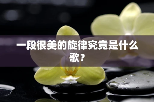 一段很美的旋律究竟是什么歌？
